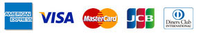 AMERICAN EXPRESS VISA MasterCard JCB Diners Club